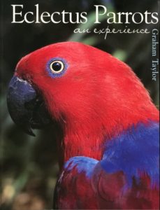Eclectus Parrots An Experience